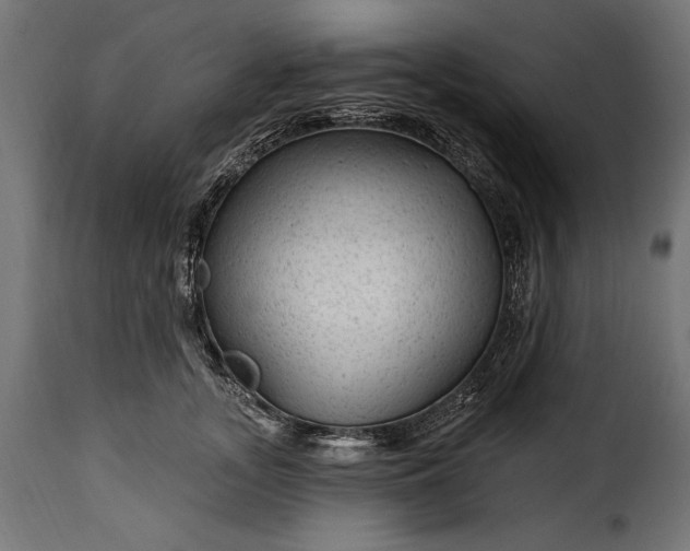 X0000115630755200911241647