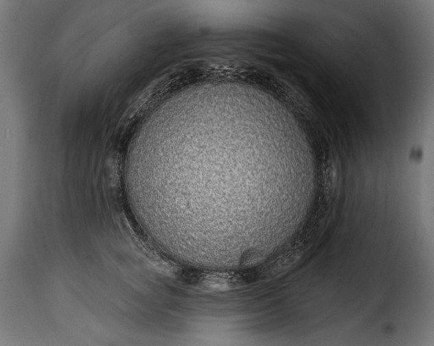 X0000115630757200911241647