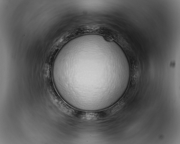 X0000115630758200911241647