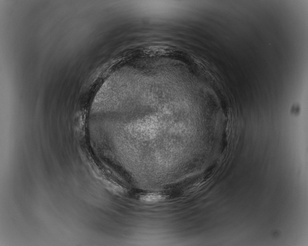 X0000115630759200911241647