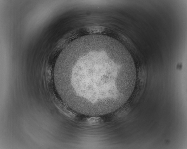 X0000115630761200911241647