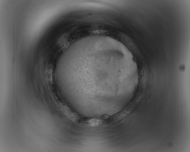 X0000115630762200911241647