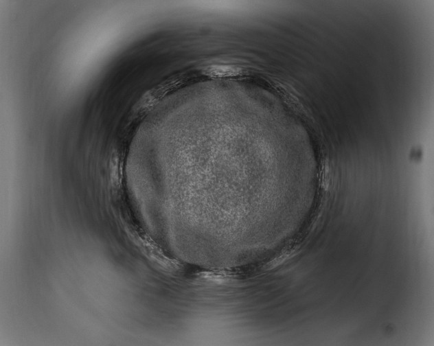 X0000115630763200911241647