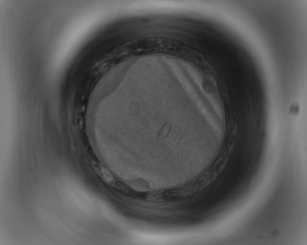 X0000115630766200911241647