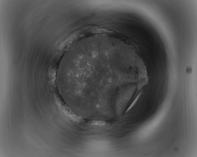 X0000115630767200911241647