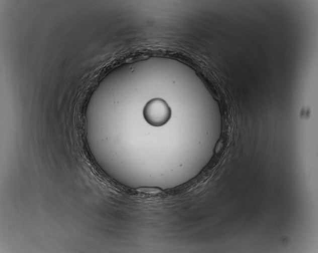 X0000115630769200911241646