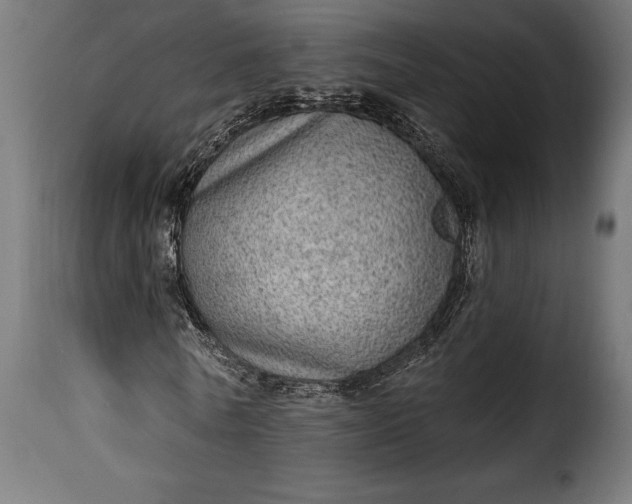 X0000115630770200911241646