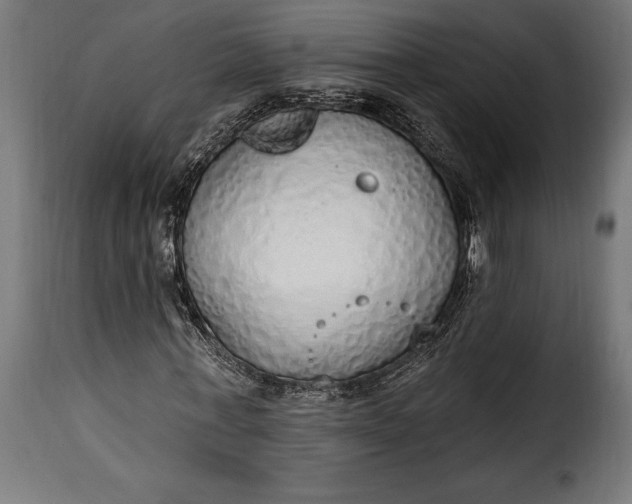 X0000115630771200911241646