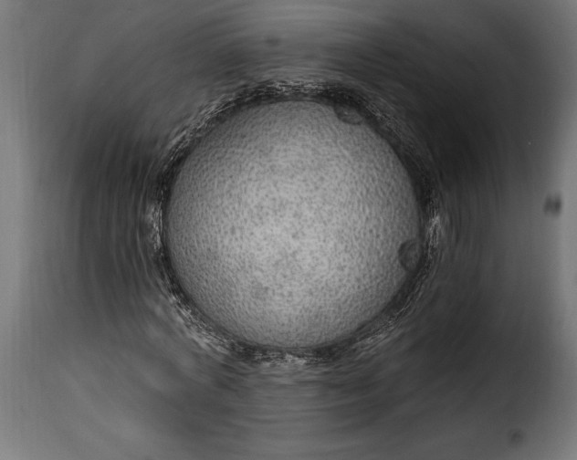 X0000115630772200911241646