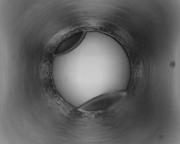 X0000115630773200911241646