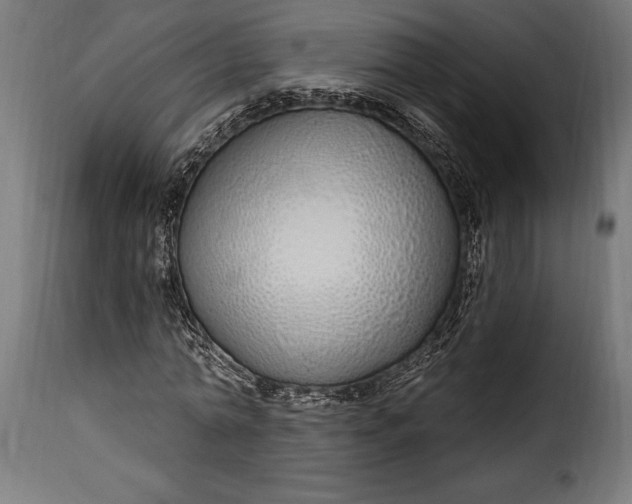 X0000115630774200911241646