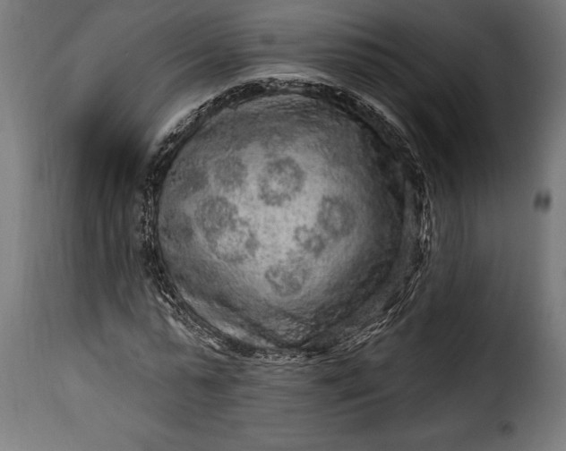 X0000115630775200911241646