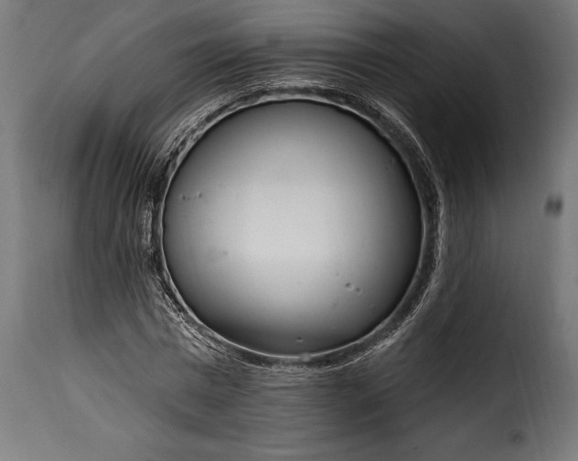 X0000115630777200911241646