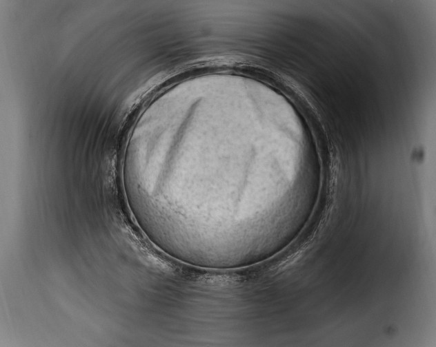 X0000115630778200911241646