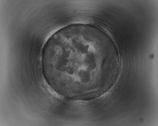 X0000115630779200911241646