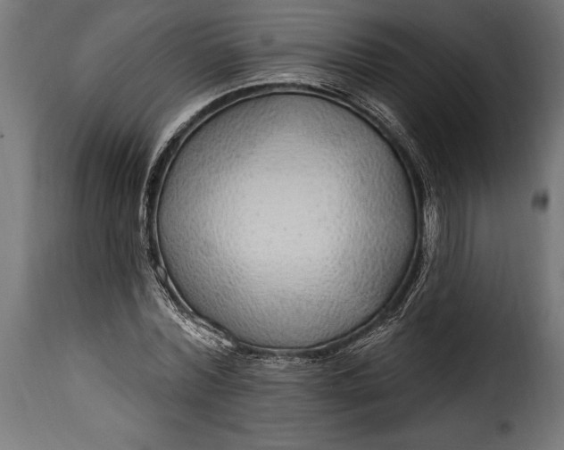 X0000115630780200911241646