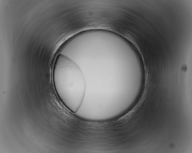 X0000115630781200911241646