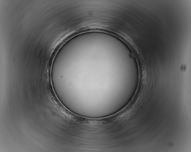 X0000115630782200911241646