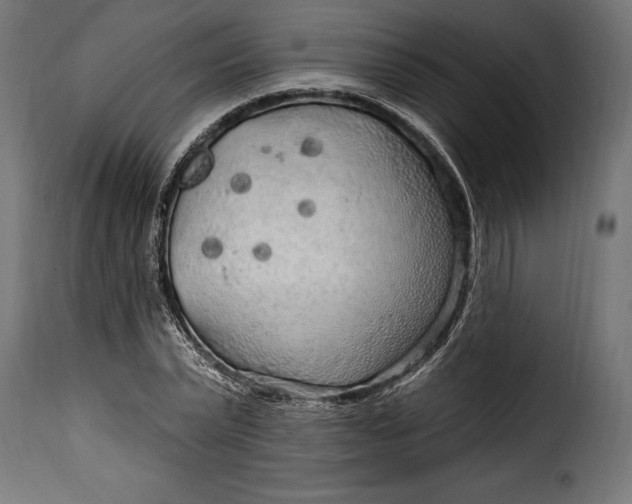 X0000115630783200911241646