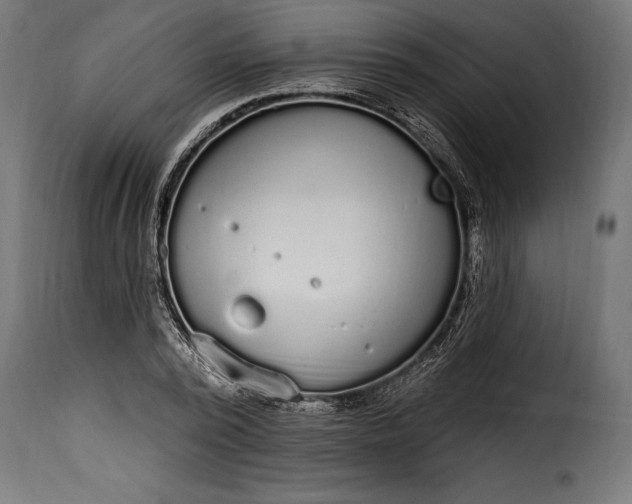 X0000115630784200911241646