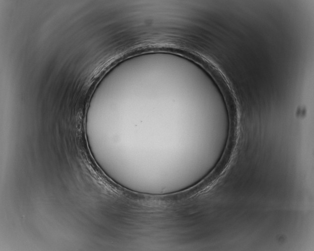 X0000115630785200911241646