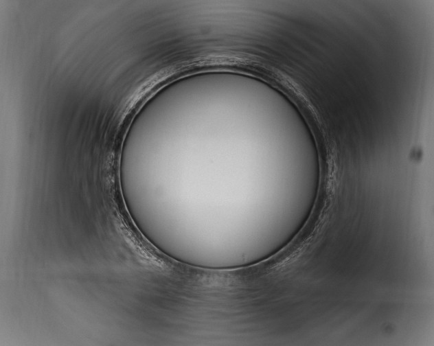 X0000115630786200911241646