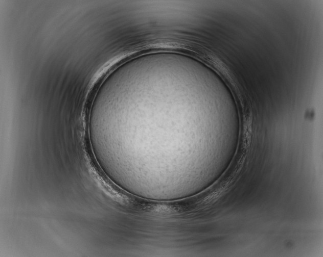 X0000115630787200911241646