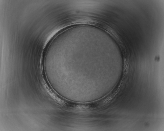 X0000115630788200911241646