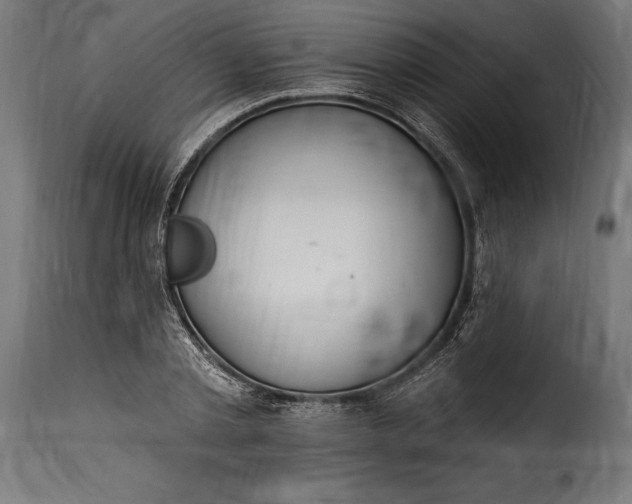 X0000115630789200911241646