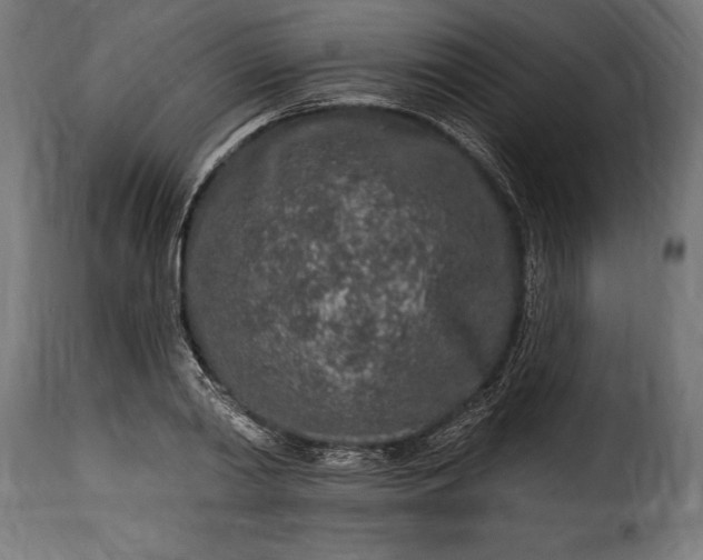 X0000115630790200911241646