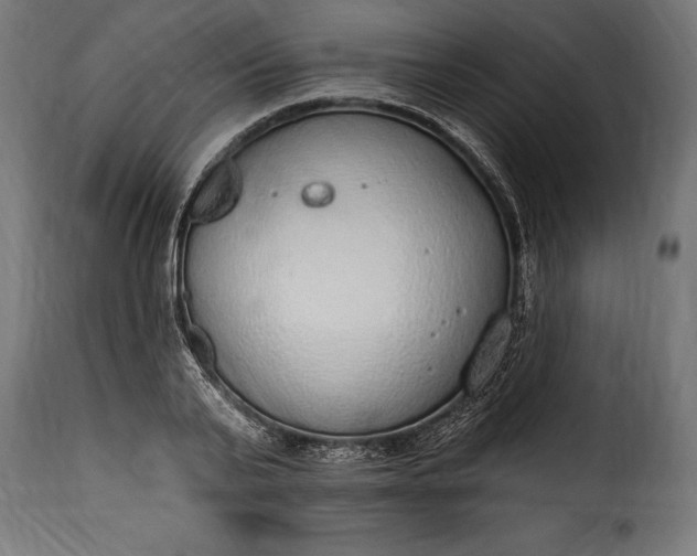 X0000115630791200911241646