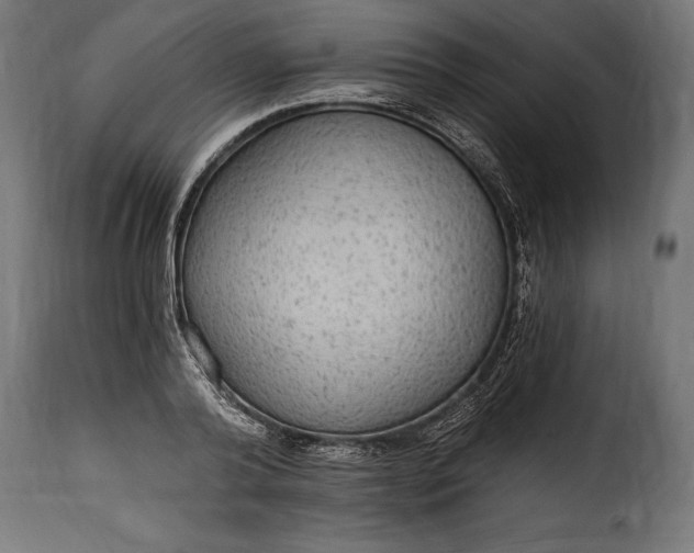 X0000115630792200911241646