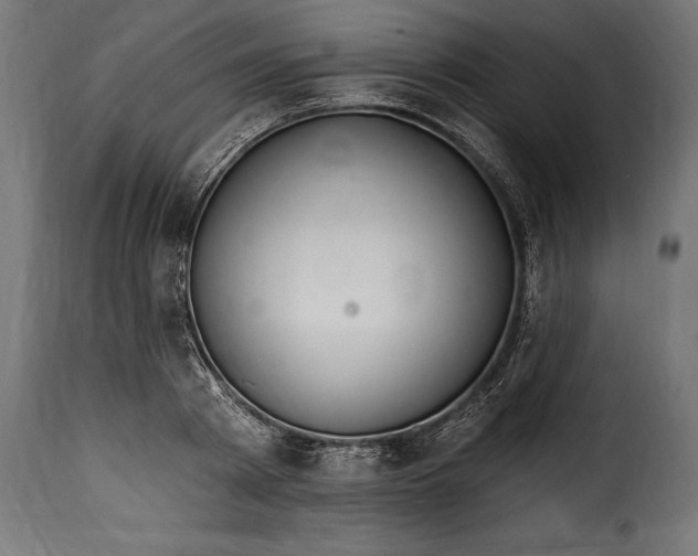 X0000115630793200911241646