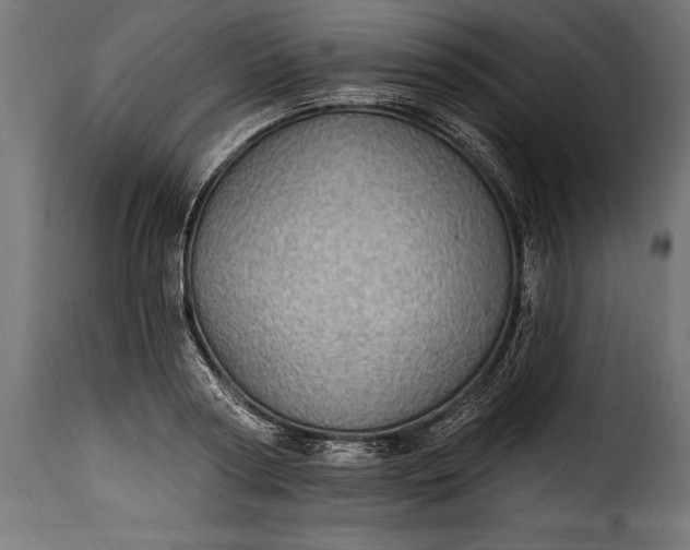 X0000115630794200911241646