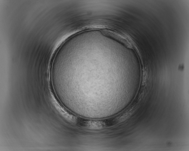 X0000115630795200911241646