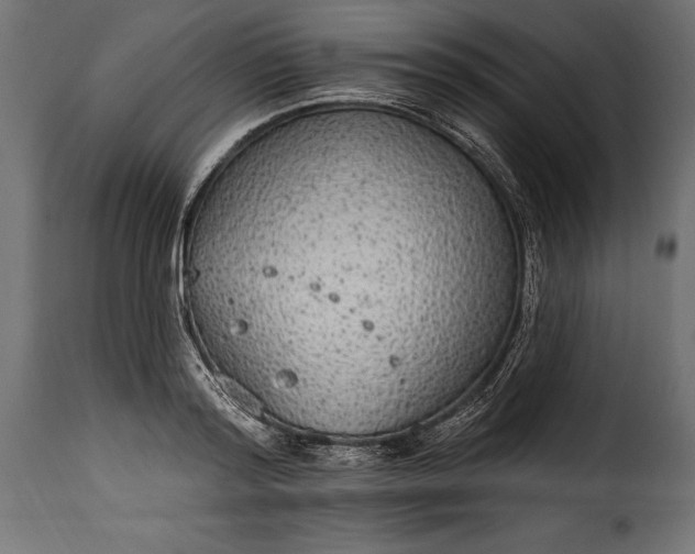 X0000115630796200911241646