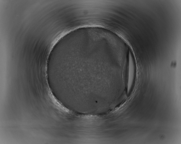 X0000115630797200911241646