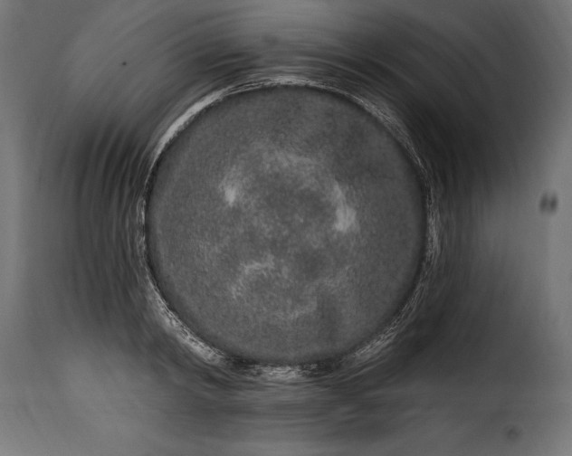 X0000115630798200911241646