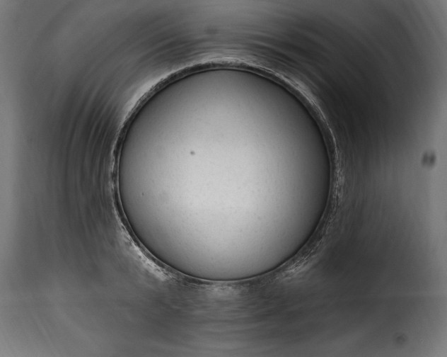 X0000115630799200911241646