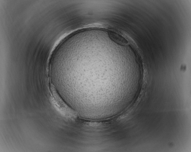 X0000115630800200911241646