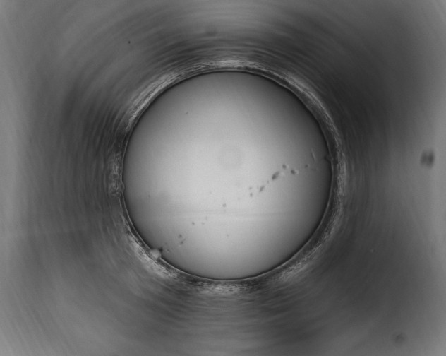 X0000115630801200911241646