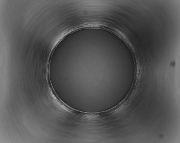 X0000115630802200911241646