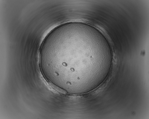 X0000115630804200911241646