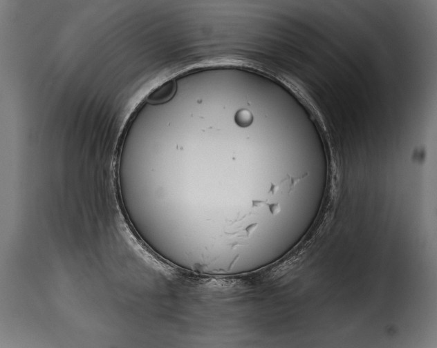 X0000115630805200911241646