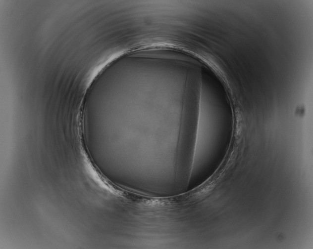 X0000115630806200911241646