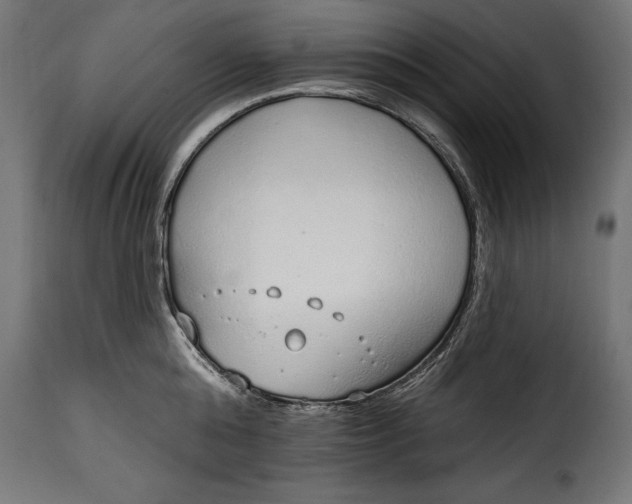 X0000115630808200911241646