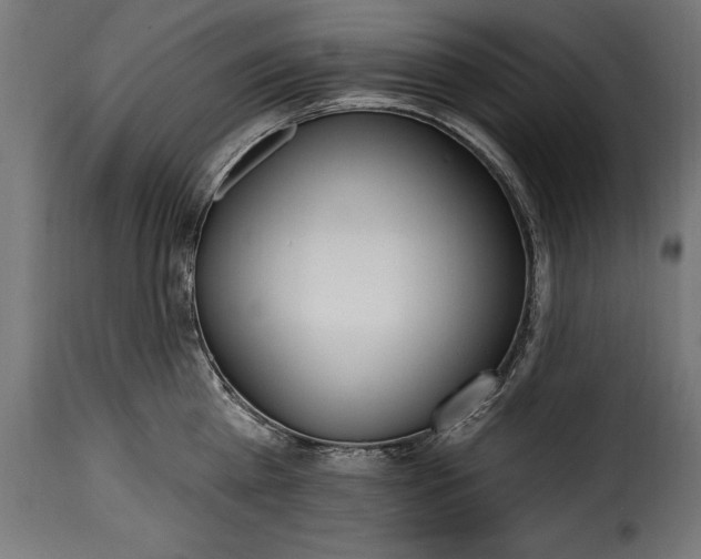 X0000115630809200911241646