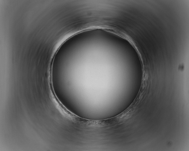 X0000115630811200911241645