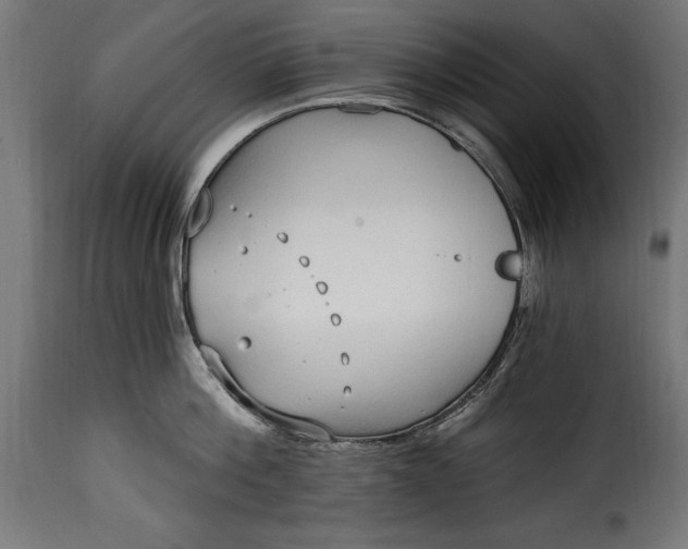 X0000115630812200911241645