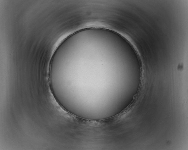 X0000115630815200911241645